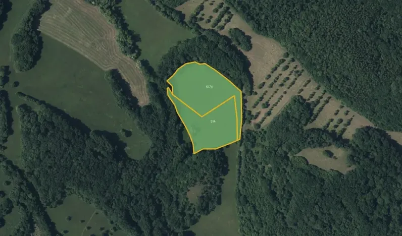 Prodej louky, Třebenice, 10632 m2