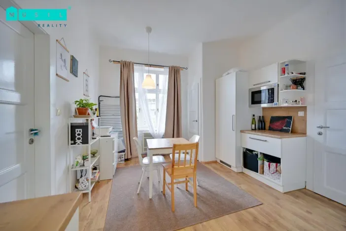 Pronájem bytu 1+1, Olomouc, Masarykova třída, 38 m2