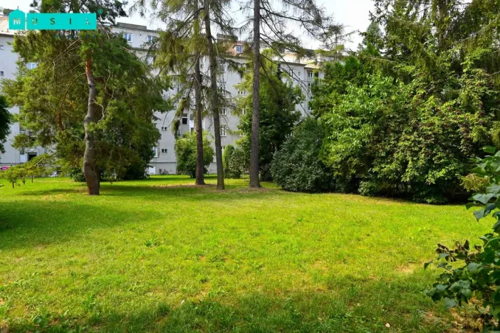Pronájem bytu 1+1, Olomouc, Masarykova třída, 38 m2