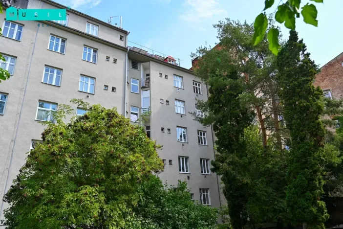 Pronájem bytu 1+1, Olomouc, Masarykova třída, 38 m2