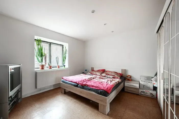 Prodej vícegeneračního domu, Nová Ves, 200 m2