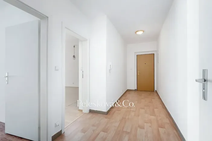 Prodej bytu 2+kk, Dolní Břežany, Za Sídlištěm, 58 m2