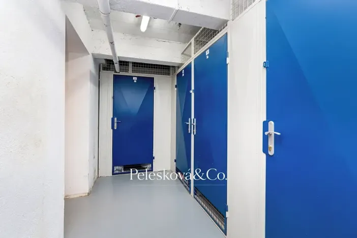Prodej bytu 4+kk, Praha - Žižkov, Viklefova, 100 m2