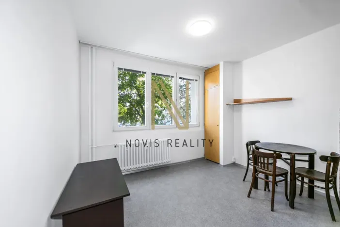 Pronájem bytu 1+kk, Plzeň, Čermákova, 22 m2