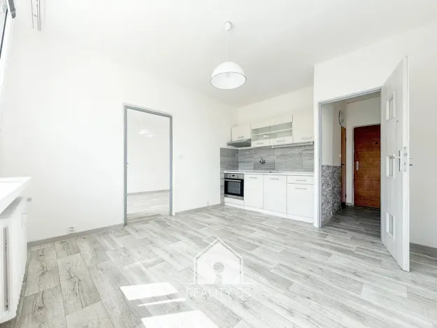 Prodej bytu 1+1, Jílové, 36 m2