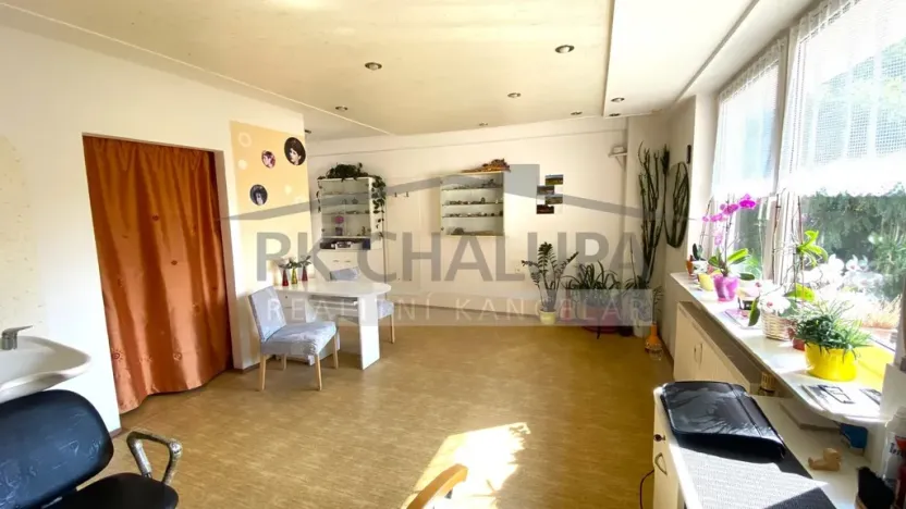 Prodej bytu 1+kk, České Budějovice - České Budějovice 2, Ant. Barcala, 32 m2