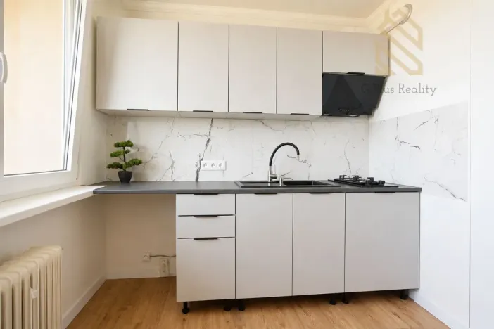 Prodej bytu 1+1, Bílina - Pražské Předměstí, Fügnerova, 34 m2