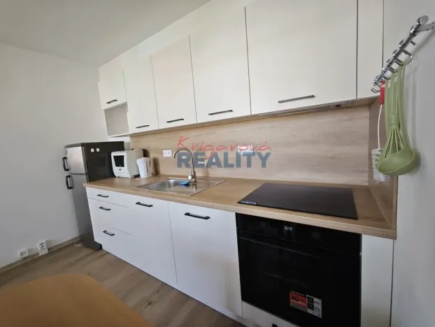 Pronájem bytu 1+1, České Budějovice - České Budějovice 2, N. Frýda, 42 m2