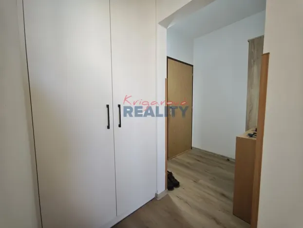 Pronájem bytu 1+1, České Budějovice - České Budějovice 2, N. Frýda, 42 m2