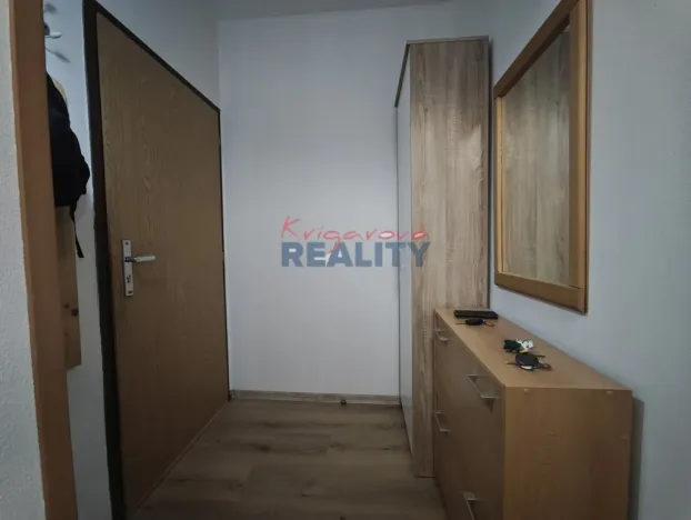 Pronájem bytu 1+1, České Budějovice - České Budějovice 2, N. Frýda, 42 m2