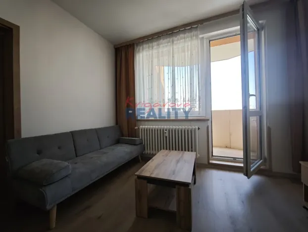 Pronájem bytu 1+1, České Budějovice - České Budějovice 2, N. Frýda, 42 m2
