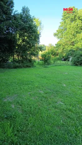 Prodej pozemku pro bydlení, Světlá Hora - Dětřichovice, 3506 m2