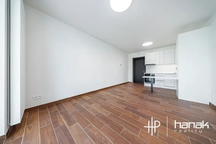 Pronájem bytu 1+kk, Olomouc, Třída Jiřího Pelikána, 33 m2