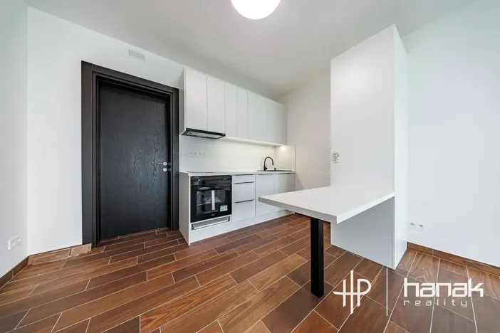 Pronájem bytu 1+kk, Olomouc, Třída Jiřího Pelikána, 33 m2