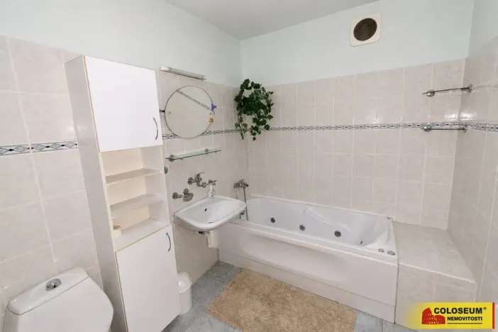 Prodej rodinného domu, Práče, 224 m2