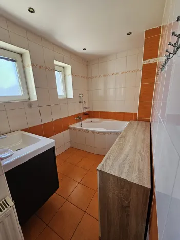 Pronájem rodinného domu, Velká Polom, Osvoboditelů, 300 m2
