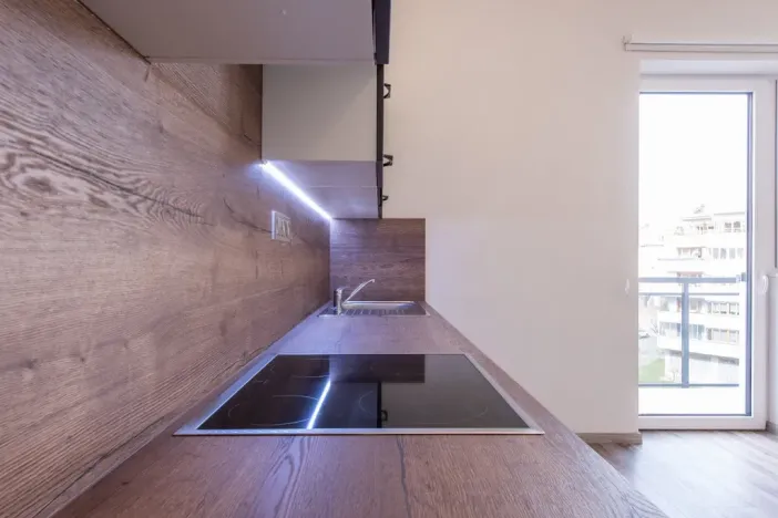 Pronájem bytu 1+kk, Plzeň, Pod Záhorskem, 447 m2