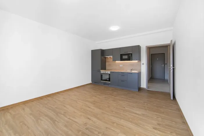 Pronájem bytu 1+kk, Zruč-Senec, Sportovní, 29 m2