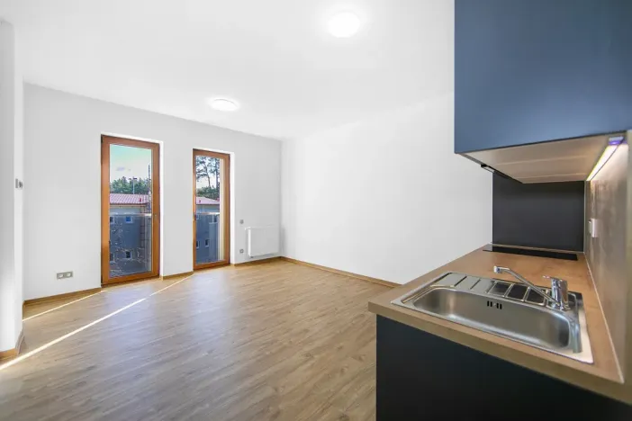 Pronájem bytu 1+kk, Zruč-Senec, Sportovní, 29 m2