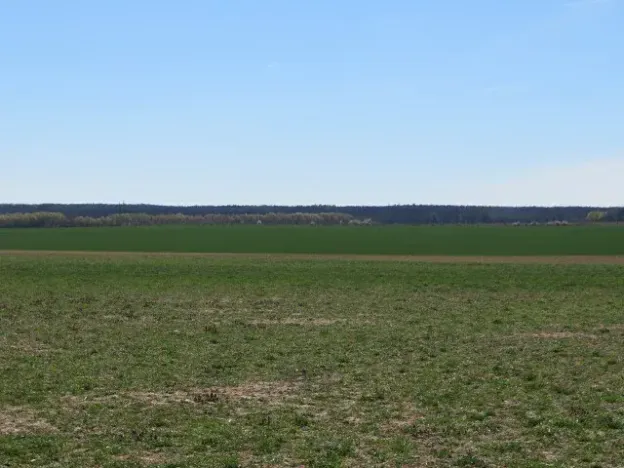 Dražba pole, Běrunice, 15140 m2