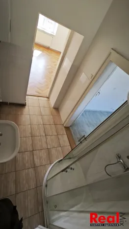 Pronájem bytu 3+1, Brno - Veveří, Čápkova, 108 m2