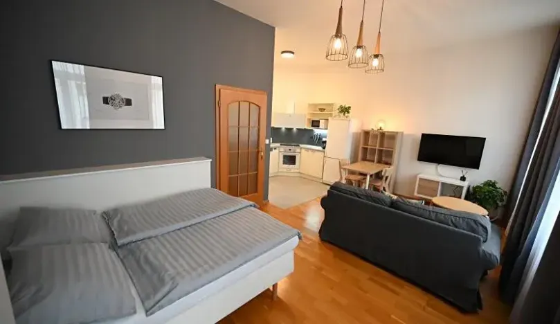 Pronájem bytu 1+kk, Praha - Vinohrady, Sázavská, 35 m2