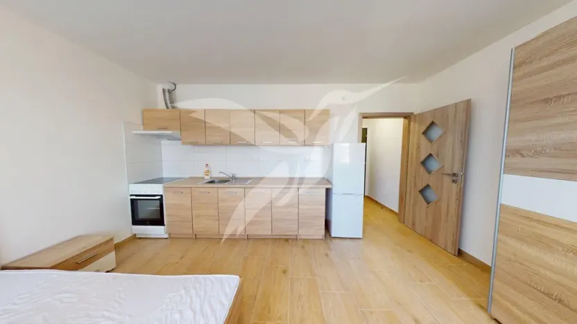 Pronájem bytu 1+kk, Dnešice, Dnešice, 25 m2