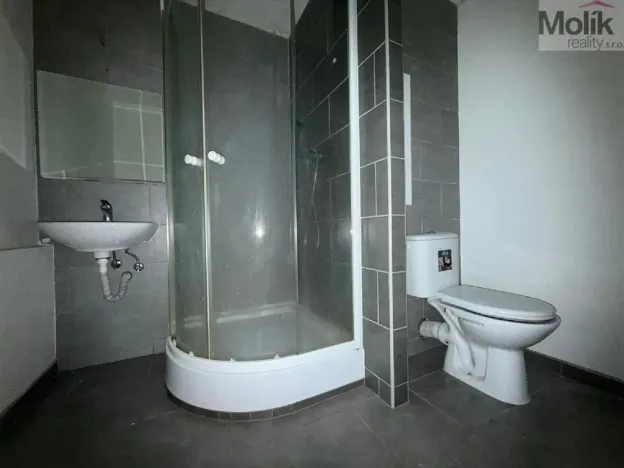 Pronájem bytu 2+1, Bílina - Pražské Předměstí, Bezejmenná, 48 m2