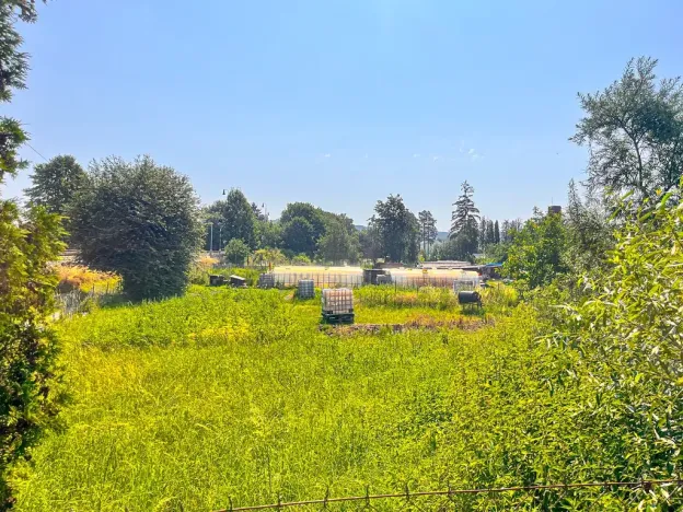 Pronájem zahrady, Dolní Bousov, 50 m2