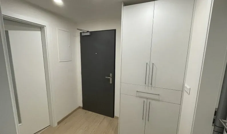 Pronájem bytu 3+kk, Praha - Řeporyje, Haenkeho, 80 m2