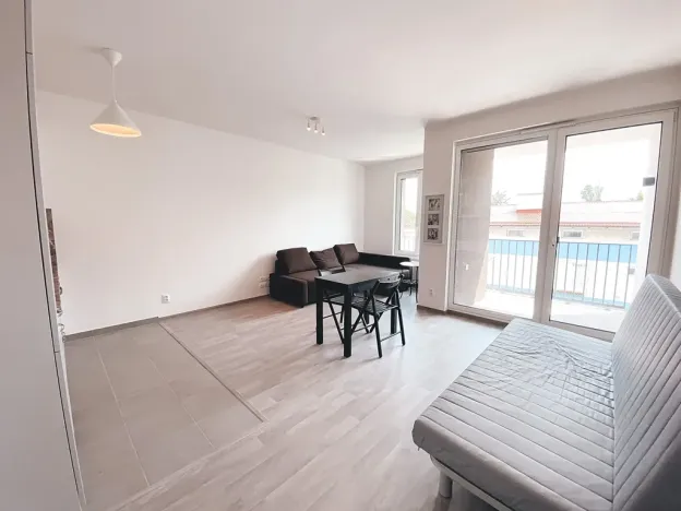 Pronájem bytu 1+kk, Praha - Žižkov, Olgy Havlové, 45 m2
