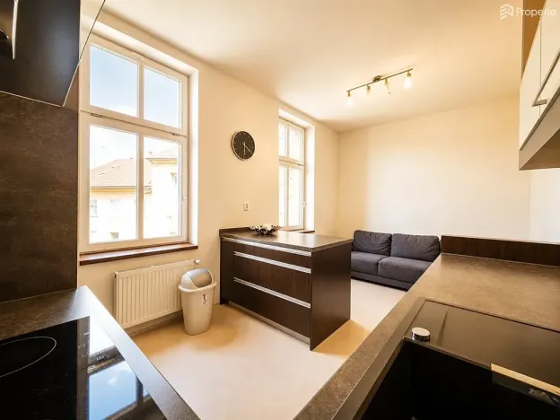 Pronájem bytu 3+1, Brno, Gorkého, 112 m2