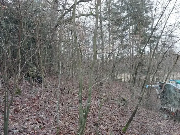 Prodej lesa, Kožlí, 278 m2