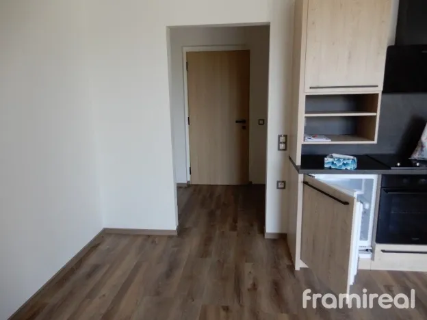 Pronájem bytu 1+kk, Slavkov u Brna, Nerudova, 30 m2