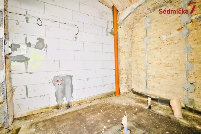 Prodej zemědělské usedlosti, Šlapanov, 110 m2
