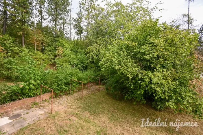 Pronájem bytu 2+1, Brno, Třískalova, 58 m2