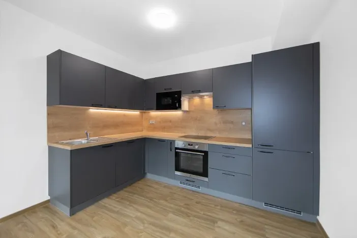 Pronájem bytu 1+kk, Zruč-Senec, Sportovní, 44 m2