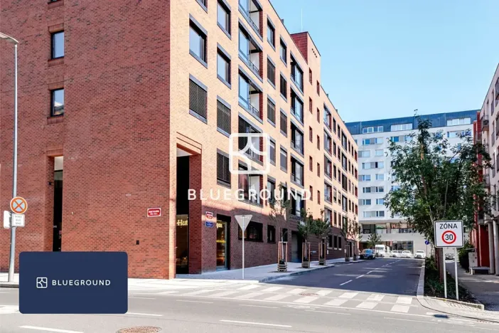 Pronájem bytu 2+kk, Praha - Žižkov, Budovcova, 45 m2
