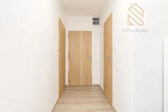 Prodej bytu 2+1, Ústí nad Labem - Střekov, Tolstého, 62 m2