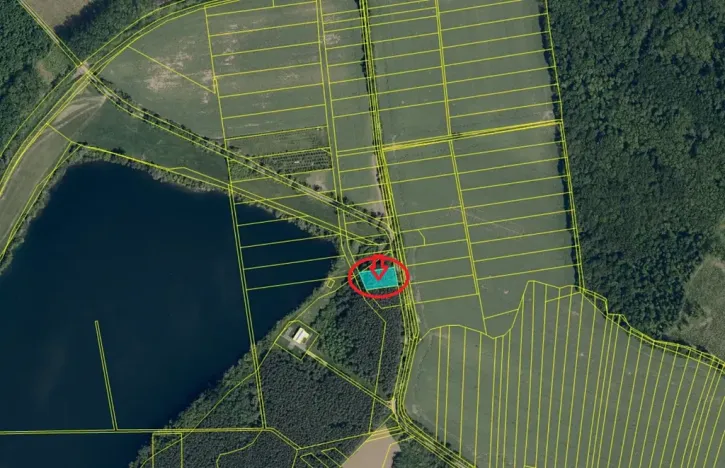Prodej lesa, Ostrožská Nová Ves, 1539 m2