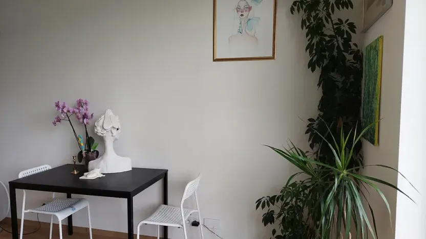 Pronájem bytu 1+kk, Brno, Wágnerova, 35 m2