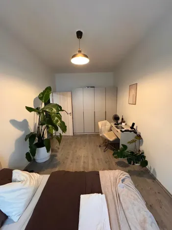 Pronájem bytu 2+kk, Praha - Žižkov, Hartigova, 50 m2