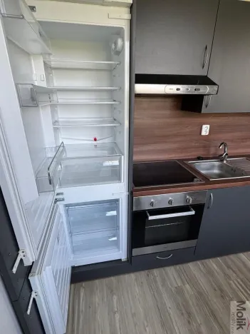 Pronájem bytu 1+1, Most, Javorová, 35 m2