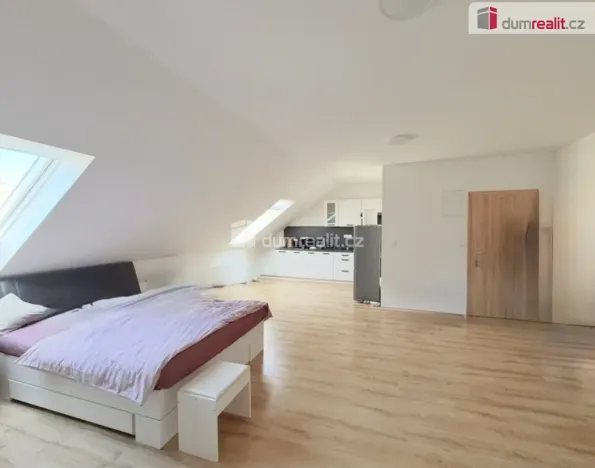 Pronájem bytu 1+kk, Chabařovice, V Aleji, 50 m2