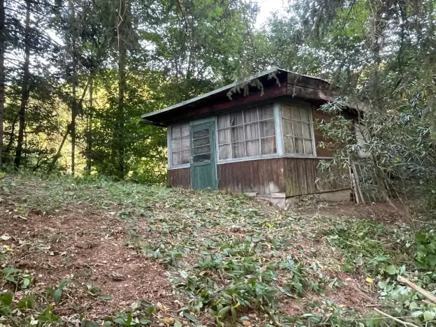 Prodej lesa, Štíty, 373 m2
