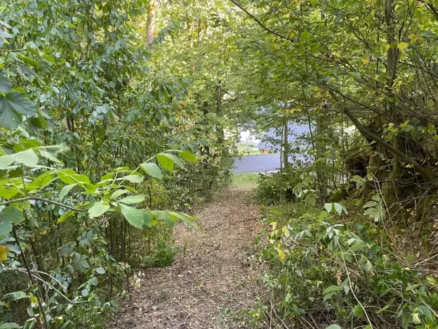 Prodej lesa, Štíty, 373 m2