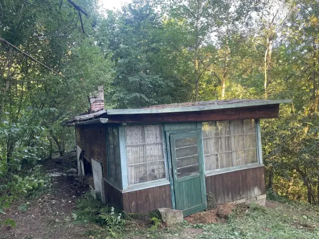 Prodej lesa, Štíty, 373 m2