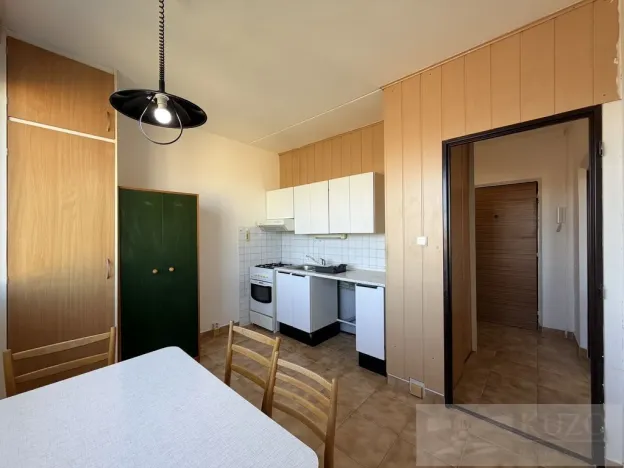 Pronájem bytu 1+1, Plzeň, Ledecká, 30 m2