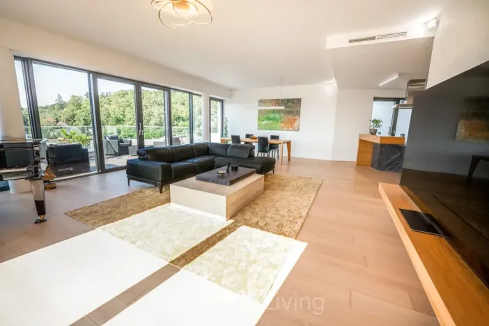 Prodej bytu 4+kk, Brno, Oldřišky Keithové, 223 m2