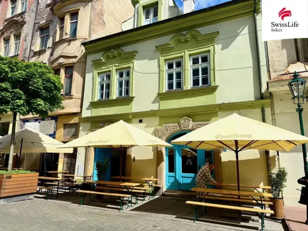 Pronájem bytu 2+kk, Plzeň - Vnitřní Město, Riegrova, 75 m2